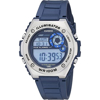 Imagen de Casio MWD-100H-2AVCF