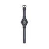 Imagen de Reloj Casio WS-1300H-8A