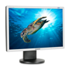 Imagen de Monitor Samsung 22 Pulgadas VGA DVI 2243BW