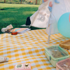Imagen de Manta de Picnic Plegable Oxford 2 x 1.5 mt Colores