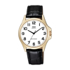 Imagen de Reloj Para caballero Q&Q QA06J104Y Correa de cuero