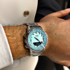 Imagen de Reloj Casio AMW-880D-2A2V