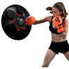 Imagen de Entrenador de Boxeo de pared 6 objetivos 9 velocidades