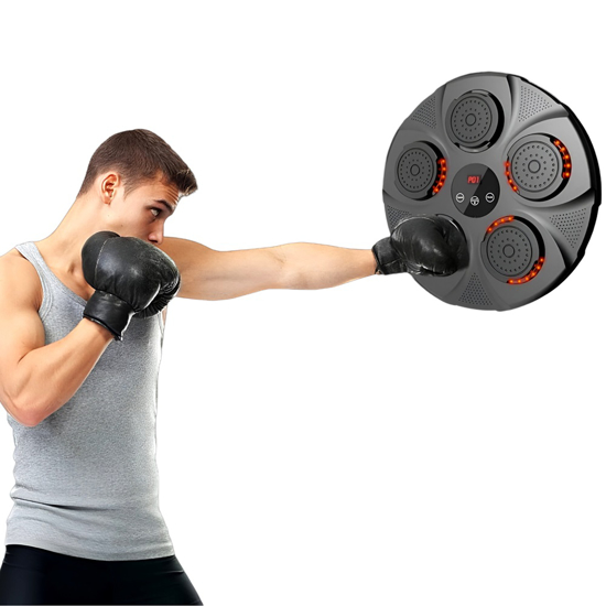 Imagen de Entrenador de Boxeo de pared 5 objetivos 9 velocidades