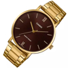 Imagen de Reloj Hombre Casio MTP-VT01G-5B
