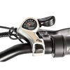 Imagen de Bicicleta Eléctrica Plegable Gyroor R20 EB028 Adultos